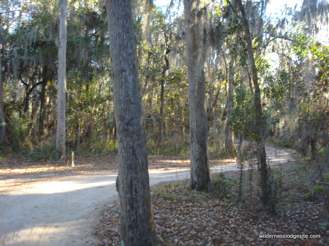 Nature Trail